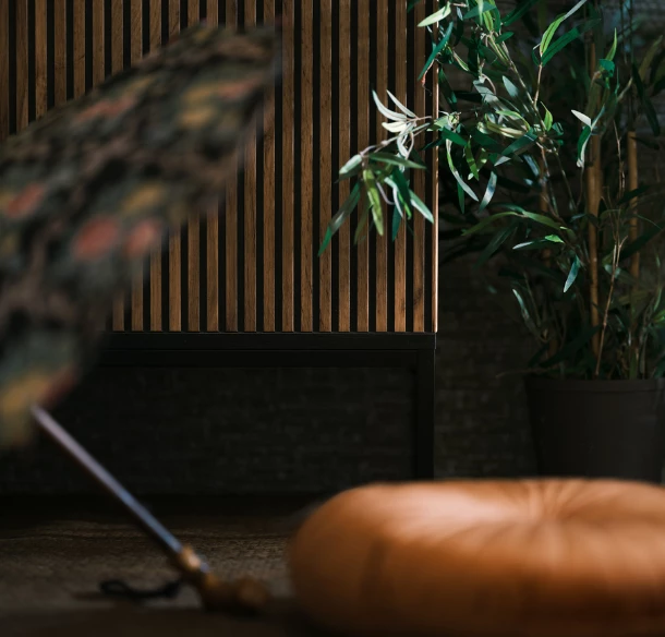 Cesta okolo sveta vol.2